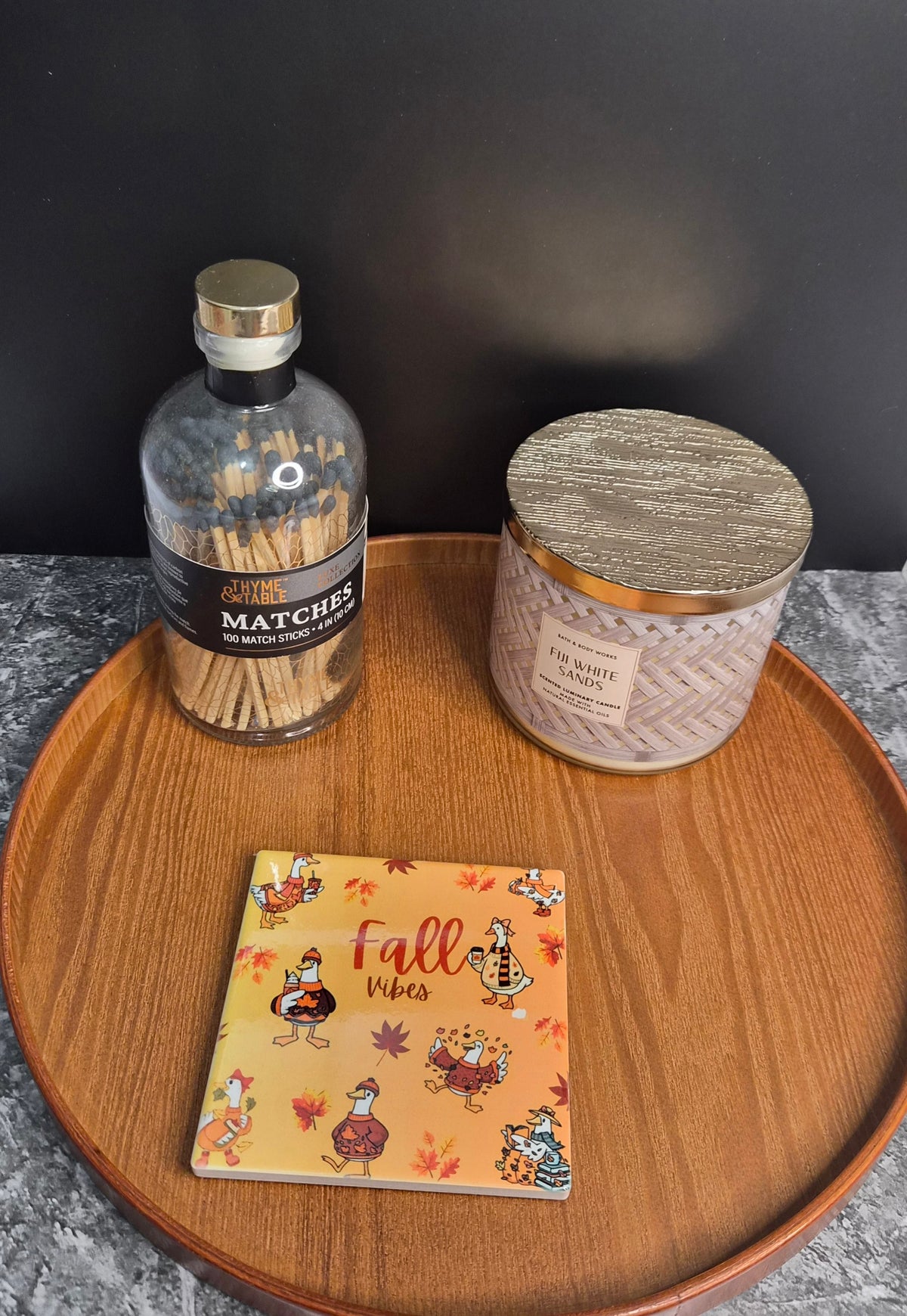 Fall Vibes Coasters 🍂🍁