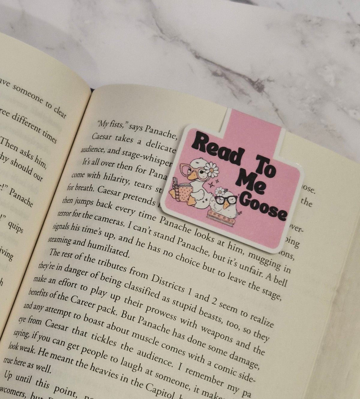 Read To Me Goose 🪿 magnetic bookmark