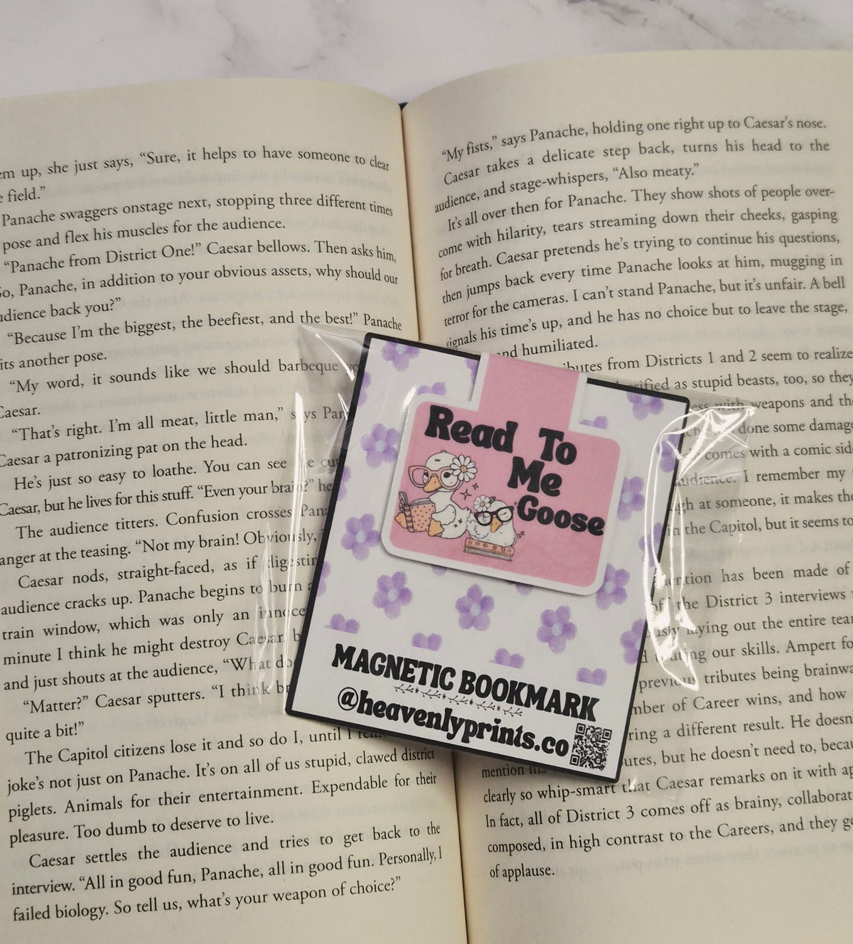 Read To Me Goose 🪿 magnetic bookmark